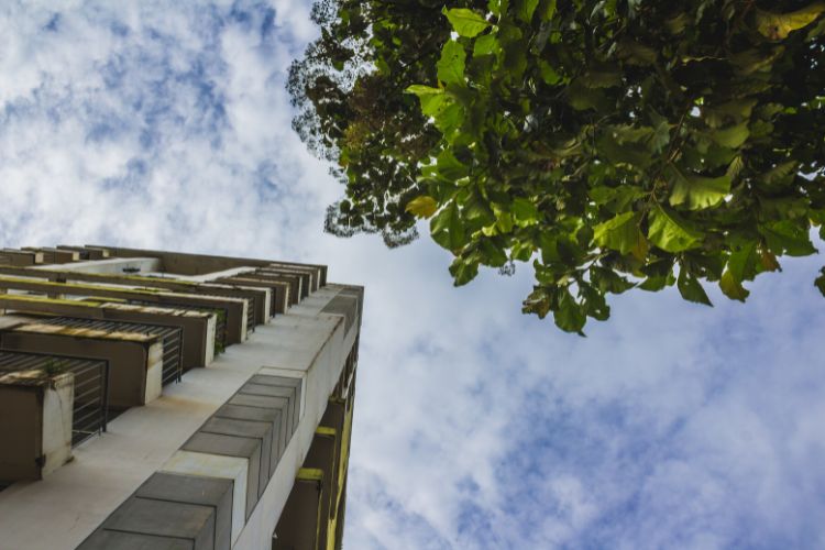Sustainable Construction Practices